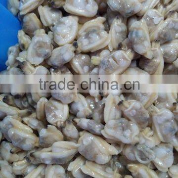 Frozen boiled baby clam meat for seafood mixed bulk packing