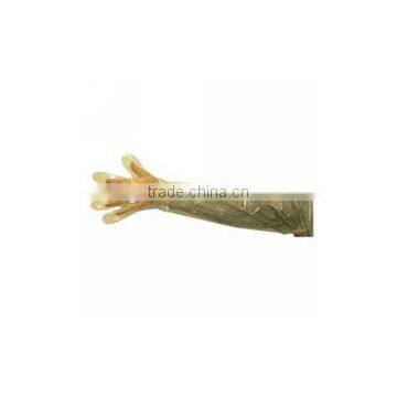 Long Oven Glove