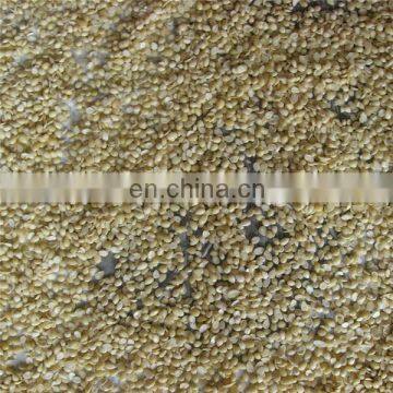 High Performance Soaked Groundnut Cleaning Machine photo-4