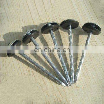 Galvanized popular roofing Q195 steel corrugated nail