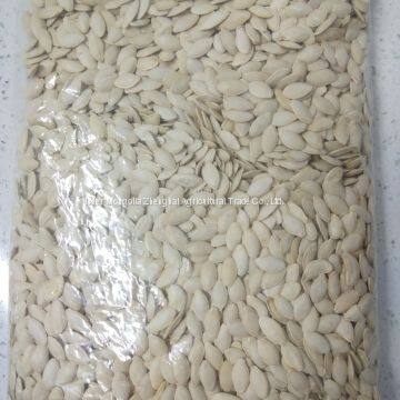 Shine Skin Pumpkin Seed