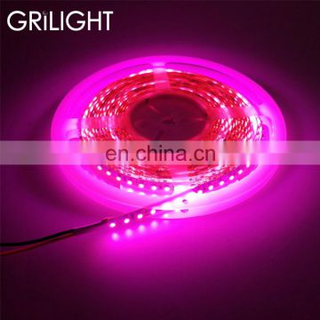 Shen zhen 12 24v 9.6w per meter pink color strip light