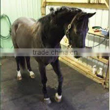Horse stable flooring