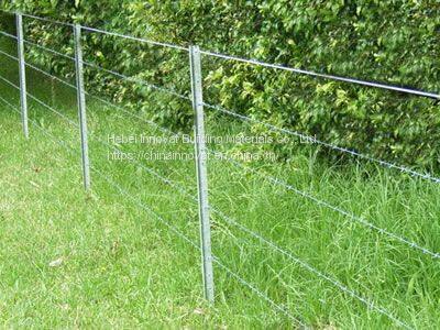 Y POST/good Quality/pvc Coated Y Post photo-2