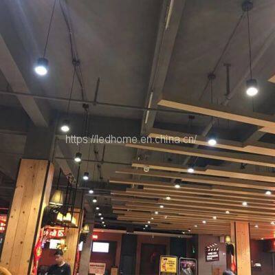 Hanging Adjustable COB LED Down Lights (12W) photo-5