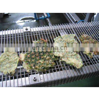 Industrial Pineapple Juice Processing Machines Price photo-4