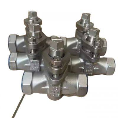 OEM CHX Stainless Steel WCB CF8 Thread Plug Valve DN100 Flange Water Plug Valve