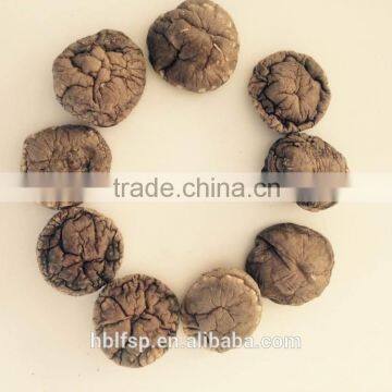 Polish Dried Magic Mushrooms