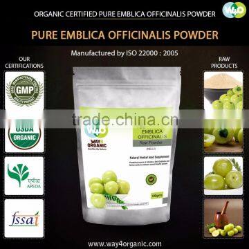 ISO Factory Supplier Offer Pure Amla Powder For Export