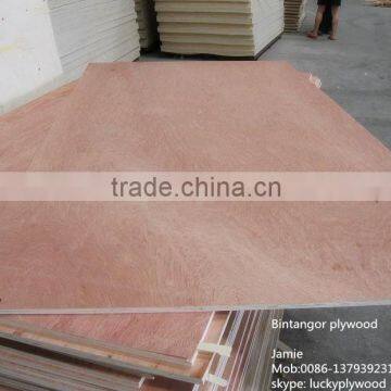 Bintangor Plywood Commercial Plywood BB/CC Veneer Plywood for Furniture Quality Choice photo-4