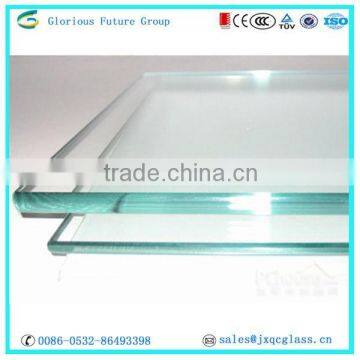 Glorious Future 10mm tinted tempered glass for house