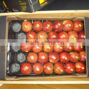 Plastic Fruit Cell Trays