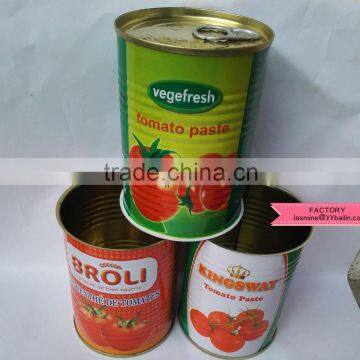 Top quality canned tomato paste 70g~3000g