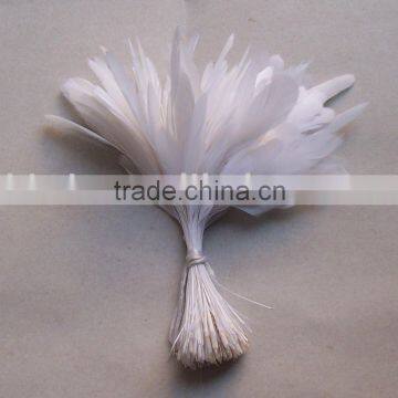 Stripped Coque Feather