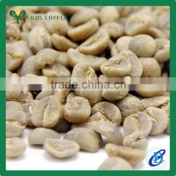 Best Selling Green Coffee Bean