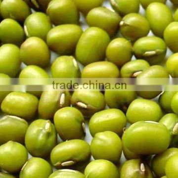 MUNG BEAN