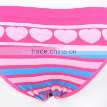 Fashion Girl Sexy Panties photo-2