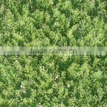 anping galvanized chain link fence 2013 low price supply all kinds of garden fence gardening