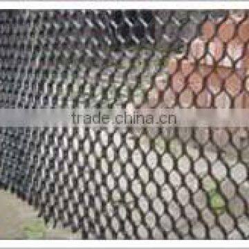 tortoise shell stucture mesh