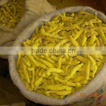 Turmeric Fingers