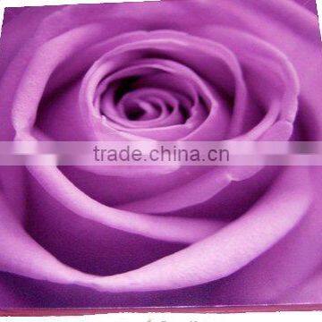 giclee print on canvas