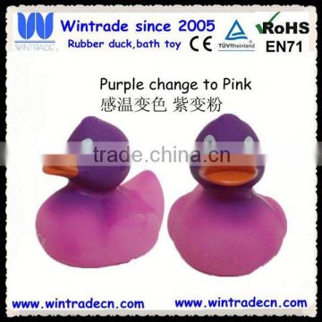 New purple duck color change