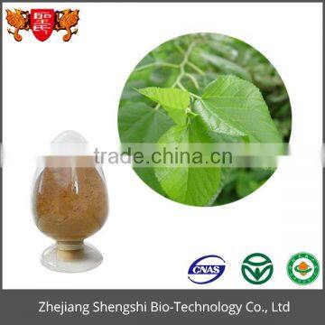 ISO GMP Factory 100% Pure natural mulberry leaf extract