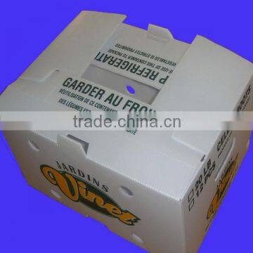 corrugated plastic boxes for packing vegetable and fruit