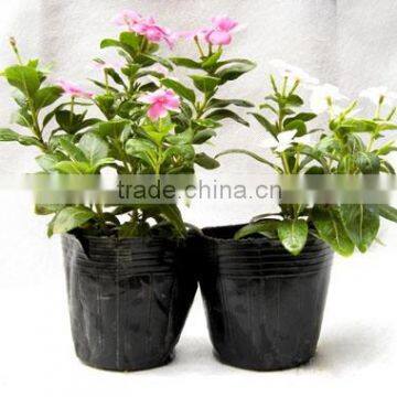 Plastic Flower pot