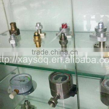 produce all kinds of SF6 Gas Valves customizable