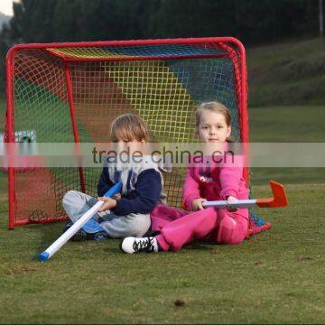 PP colorful hockey goal net