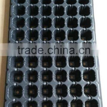 72Cells Plastic SeedingTrays