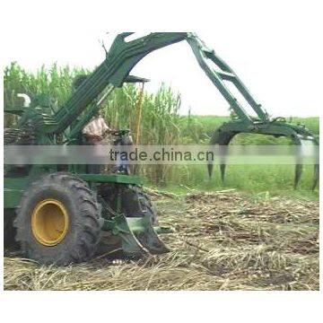 sugarcane harvest