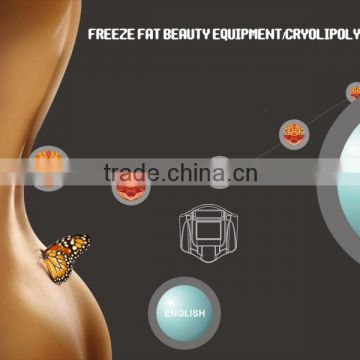 4 Cryo Pads Best Effect Cryolipolysis 500W Fat Freezing Machine For Sale Skin Tightening