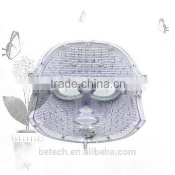 Skin Care Mask Photon Dynamic Treatment LED Mask photo-2