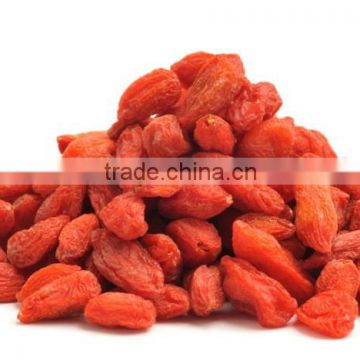 Fresh and Dried Gojiberries