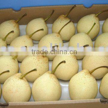 Fresh Pear From China