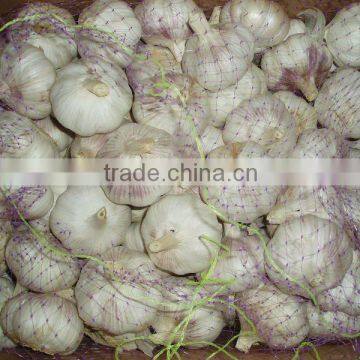 2011 new crop white garlic for HAPPY NEW YEAR