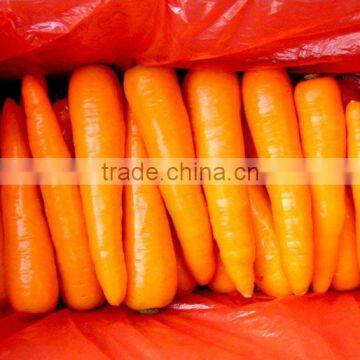 china carrot size from S to 2L