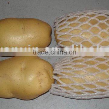 new holland potato