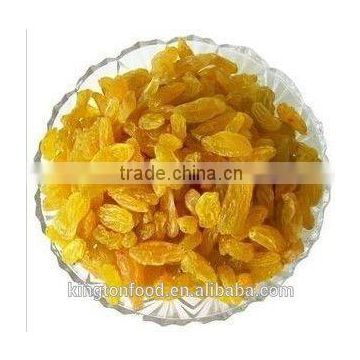 chinese wholesale price dried golden raisin