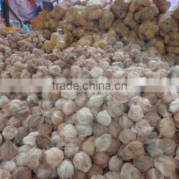 Semi Husked Coconut, Best Quality, Cheap Price photo-5