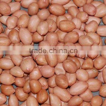 GROUNDNUT KERNEL JAVA TYPE 50/60 FROM INDIA