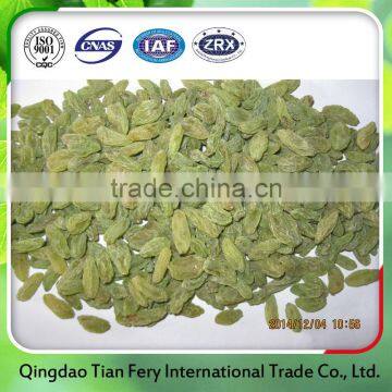 Top quality organic dried green raisins