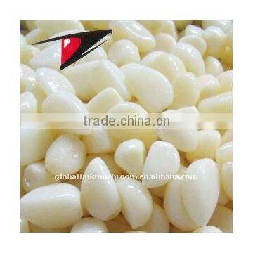 Chinese Garlic