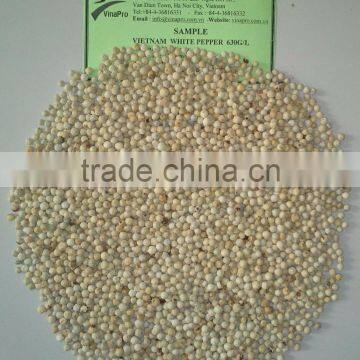 VIETNAM WHITE PEPPER