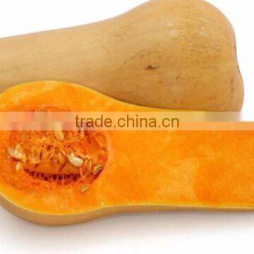 Commercial High Automatic Stainless Melon Separating Machine Watermelon Separator Pineapple Cutter photo-6