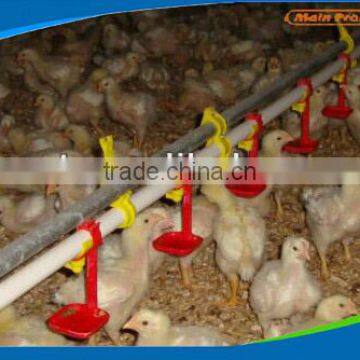 Automatic Chain feeding system poultry equipment for breeders