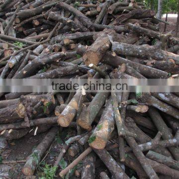 Competitive Cheap Price of Rubber Fire wood for burning