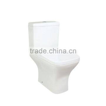 Hebei floor mouted gravity washdown toilet